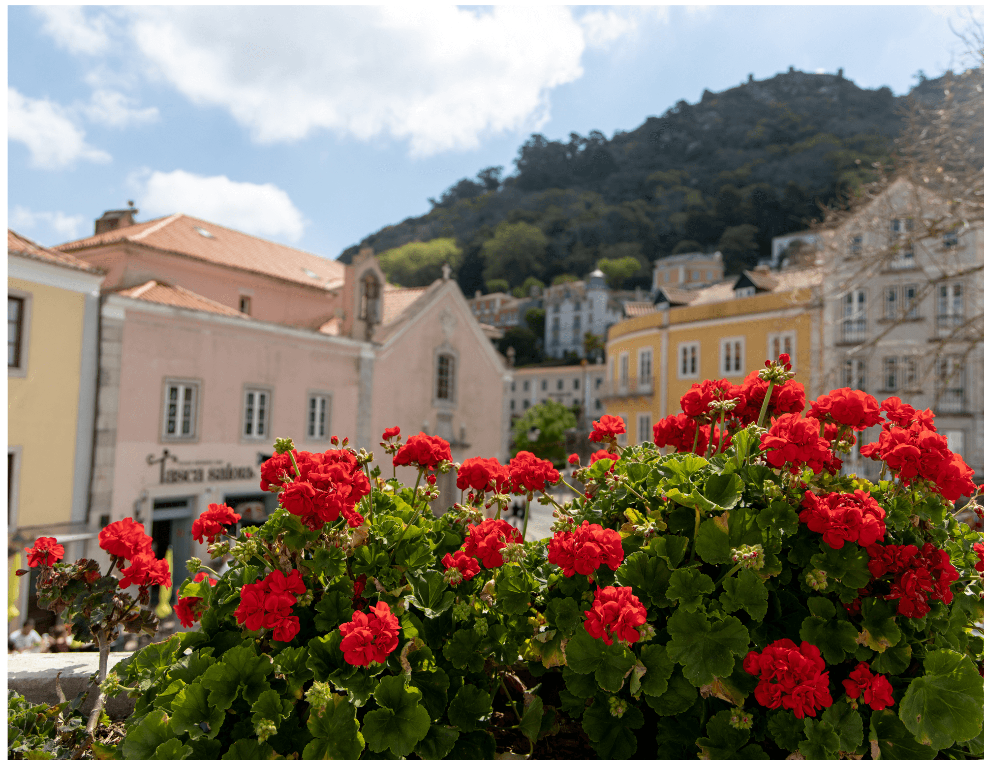 A Fairytale Journey to Sintra & Cascais - gallery 5